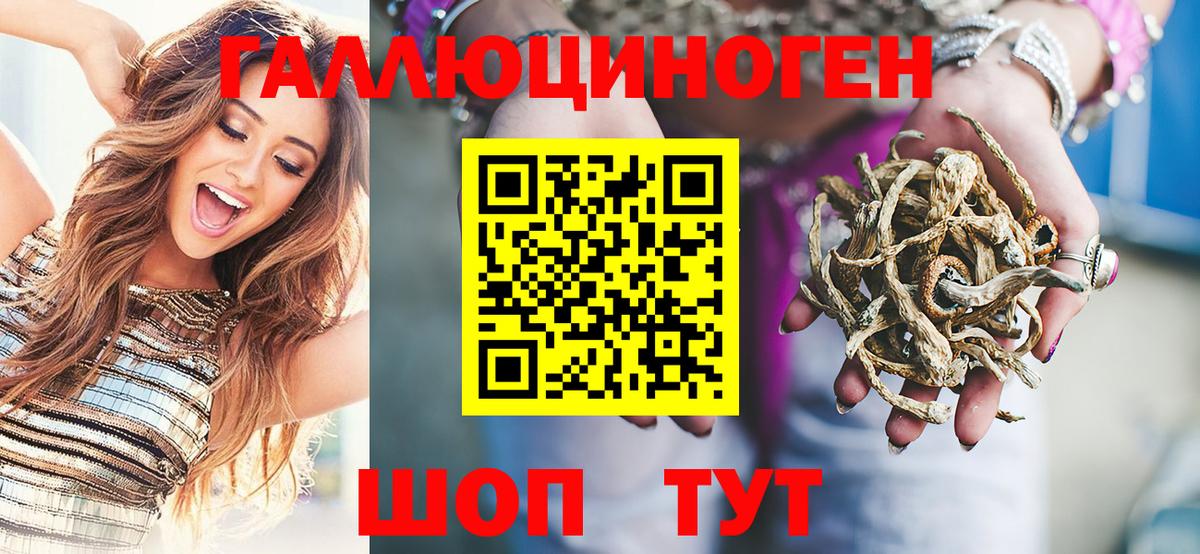 Спасск-Дальний  Галлюциногенные грибы Psilocybine cubensis  продажа наркотиков  Вход с VPN 