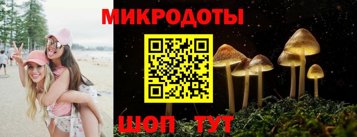 Псилоцибиновые грибы Cubensis Спасск-Дальний
